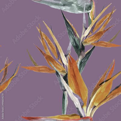 Papier peint  Strelitzia flowers watercolor on violet grey background seamless pattern for all prints.