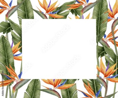 Papier peint  Strelitzia flowers with tropical leaves palm frame watercolor illustration on white. Template for postcard, textile, fabric, wallpaper, card, packaging, party.