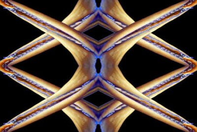 Papier peint  Strelitzia, Gran Canaria, Espagne