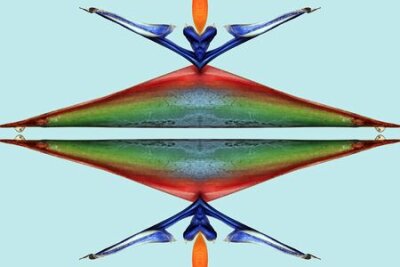 Papier peint  Strelitzia, Gran Canaria, Espagne