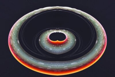 Papier peint  Strelitzia, Gran Canaria, Espagne