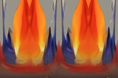 Papier peint  Strelitzia, Gran Canaria, Espagne