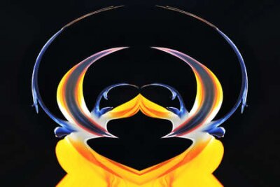 Papier peint  Strelitzia, Gran Canaria, Espagne