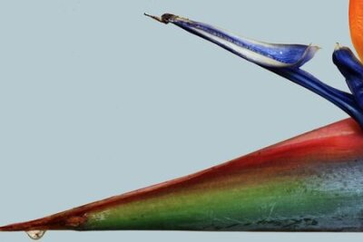 Papier peint  Strelitzia, Gran Canaria, Espagne