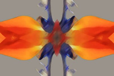 Papier peint  Strelitzia, Gran Canaria, Espagne