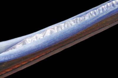 Papier peint  Strelitzia, Gran Canaria, Espagne