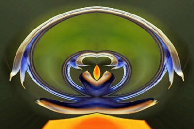 Papier peint  Strelitzia, Gran Canaria, Espagne