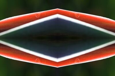 Papier peint  Strelitzia, Gran Canaria, Espagne