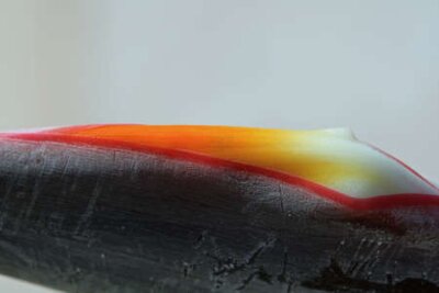 Papier peint  strelitzia,Gran Canaria,Spain