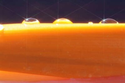 Papier peint  strelitzia,Gran Canaria,Spain