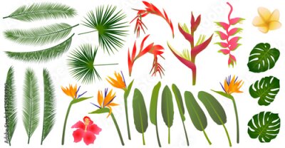 Papier peint  Strelitzia, hibiscus, billbergia, frangipani, heliconia tropical flowers, monstera, palm eaves.