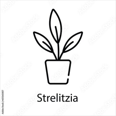 Papier peint  Strelitzia icon vector stock illustration