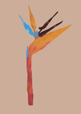 Papier peint  strelitzia Ilustração digital abstrata feita a mão 