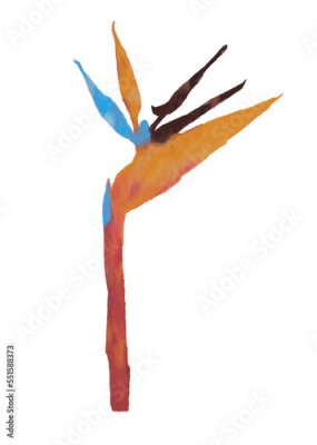 Papier peint  strelitzia Ilustração digital abstrata feita a mão - sem fundo