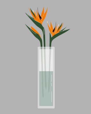 Papier peint  Strelitzia in a vase. Trendy vector bouquet, flat style.