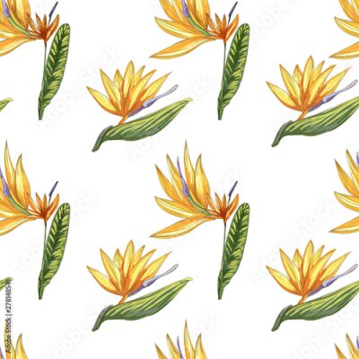 Papier peint  Strelitzia jungle foliage pattern background. Vector tropical decor. Summer botanical backdrop. Summer graphic. Magic background. Banana leaves.
