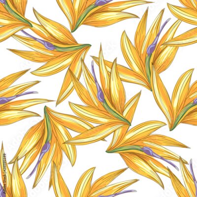 Papier peint  Strelitzia jungle foliage pattern background. Vector tropical decor. Summer botanical backdrop. Summer graphic. Magic background. Banana leaves.