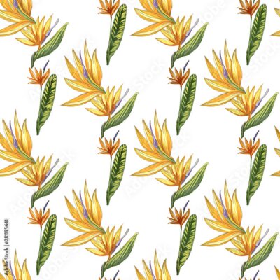 Papier peint  Strelitzia jungle foliage pattern background. Vector tropical decor. Summer botanical backdrop. Summer graphic. Magic background. Banana leaves.