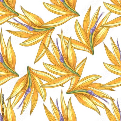 Papier peint  Strelitzia jungle foliage pattern background. Vector tropical decor. Summer botanical backdrop. Summer graphic. Magic background. Banana leaves.