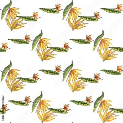 Papier peint  Strelitzia jungle foliage pattern background. Vector tropical decor. Summer botanical backdrop. Summer graphic. Magic background. Banana leaves.