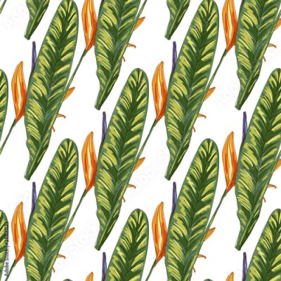 Papier peint  Strelitzia jungle foliage pattern background. Vector tropical decor. Summer botanical backdrop. Summer graphic. Magic background. Banana leaves.