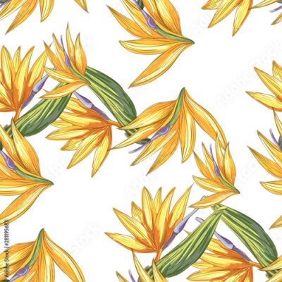 Papier peint  Strelitzia jungle foliage pattern background. Vector tropical decor. Summer botanical backdrop. Summer graphic. Magic background. Banana leaves.