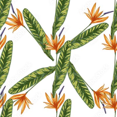 Papier peint  Strelitzia jungle foliage pattern background. Vector tropical decor. Summer botanical backdrop. Summer graphic. Magic background. Banana leaves.