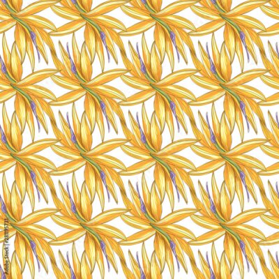Papier peint  Strelitzia jungle foliage pattern background. Vector tropical decor. Summer botanical backdrop. Summer graphic. Magic background. Banana leaves.