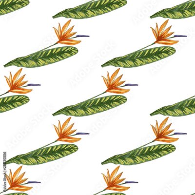 Papier peint  Strelitzia jungle foliage pattern background. Vector tropical decor. Summer botanical backdrop. Summer graphic. Magic background. Banana leaves.
