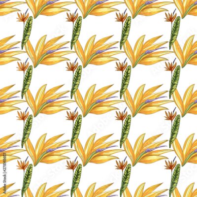Papier peint  Strelitzia jungle foliage pattern background. Vector tropical decor. Summer botanical backdrop. Summer graphic. Magic background. Banana leaves.