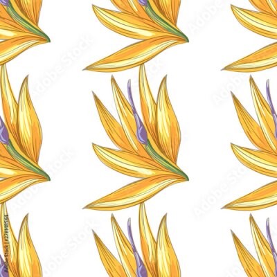 Papier peint  Strelitzia jungle foliage pattern background. Vector tropical decor. Summer botanical backdrop. Summer graphic. Magic background. Banana leaves.
