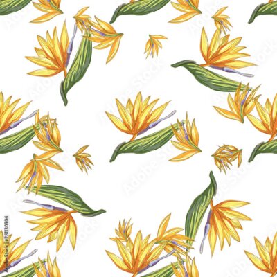 Papier peint  Strelitzia jungle foliage pattern background. Vector tropical decor. Summer botanical backdrop. Summer graphic. Magic background. Banana leaves.