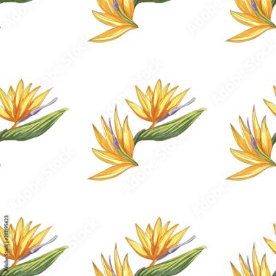 Papier peint  Strelitzia jungle foliage pattern background. Vector tropical decor. Summer botanical backdrop. Summer graphic. Magic background. Banana leaves.