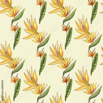 Papier peint  Strelitzia jungle foliage pattern background. Vector tropical decor. Summer botanical backdrop. Summer graphic. Magic background. Banana leaves.