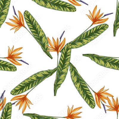 Papier peint  Strelitzia jungle foliage pattern background. Vector tropical decor. Summer botanical backdrop. Summer graphic. Magic background. Banana leaves.