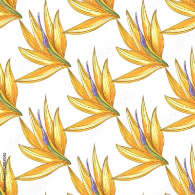 Papier peint  Strelitzia jungle foliage pattern background. Vector tropical decor. Summer botanical backdrop. Summer graphic. Magic background. Banana leaves.