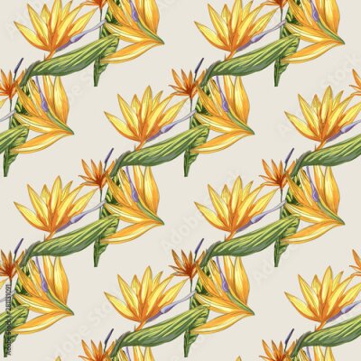 Papier peint  Strelitzia jungle foliage pattern background. Vector tropical decor. Summer botanical backdrop. Summer graphic. Magic background. Banana leaves.
