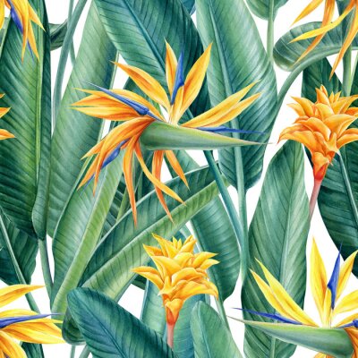 Papier peint  Strelitzia leaves and flowers tropical background, watercolor illustration, digital paper, seamless pattern