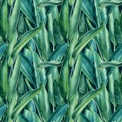 Papier peint  Strelitzia leaves, tropical background, watercolor illustration, digital paper, seamless pattern