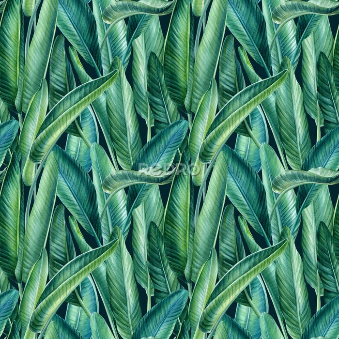 Papier peint  Strelitzia leaves, tropical background, watercolor illustration, digital paper, seamless pattern