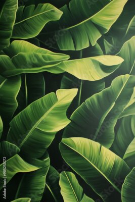 Papier peint  Strelitzia Leaves Wallpaper Overflowing with Lush Green Foliage