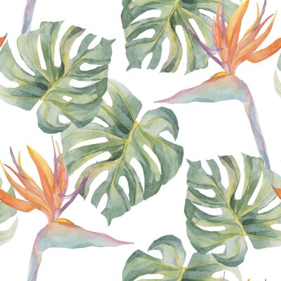 Papier peint  Strelitzia, monstera. Tropical exotic green seamless pattern. Watercolor hand made colorful print. On white background. For textile, wrapping paper, backgrounds.