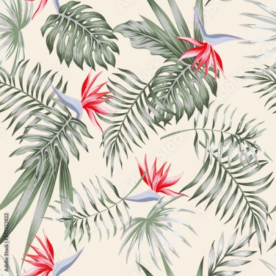 Papier peint  strelitzia motif de lumière rouge sans soudure