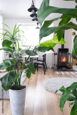 Papier peint  Strelitzia nicolai close-up in the interior on the stand. Houseplant Growing and caring for indoor plant, green home in scandinavian loft style with metal stove fireplace with hot fire