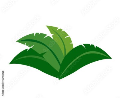 Papier peint  Strelitzia nicolai leaf