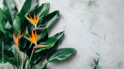 Papier peint  Strelitzia on a gray background . The flower is a bird of paradise. An idea for a poster, a card. A fashionable domesticated plant. A potted plant, a bouquet. Interior decoration