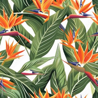 Papier peint  Strelitzia or Bird of paradise flower blooming Plant
 seamless pattern illustration
