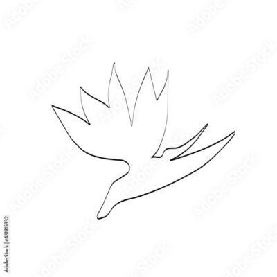 Papier peint  Strelitzia outline vector sketch. Outline black illustration isolated on white background.