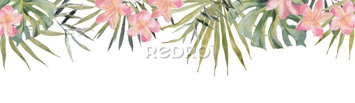 Papier peint  Strelitzia, palm tree, monstera banner. Tropical exotic bright Floral design with space for text. Watercolor hand made botanical travel print. On white background. For summer tourist website.