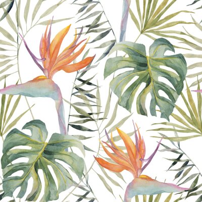 Papier peint  Strelitzia, palm tree, monstera leaves. Tropical exotic bright seamless pattern. Watercolor hand made botanical print. On white background. For summer beach textile, wallpaper, wrapping paper.